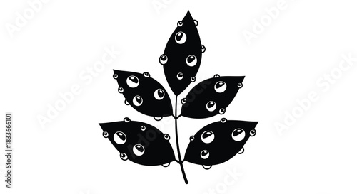 A detailed black leaf design with water droplets showcasing a striking silhouette