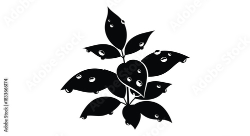Black leaves with water droplets create an elegant botanical illustration silhouette