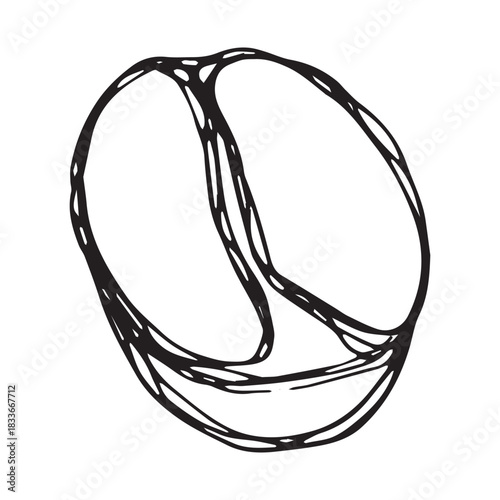 Hand drawn fresh roasted coffee bean Arabica robusta seed doodle Single element for print, web, design, decor