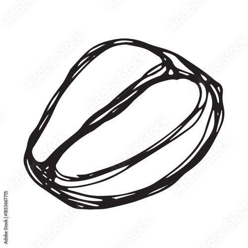 Hand drawn fresh roasted coffee bean Arabica robusta seed doodle Single element for print, web, design, decor