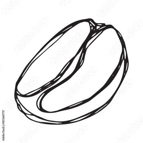 Hand drawn fresh roasted coffee bean Arabica robusta seed doodle Single element for print, web, design, decor