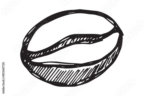 Hand drawn fresh roasted coffee bean Arabica robusta seed doodle Single element for print, web, design, decor
