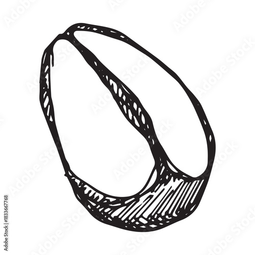 Hand drawn fresh roasted coffee bean Arabica robusta seed doodle Single element for print, web, design, decor