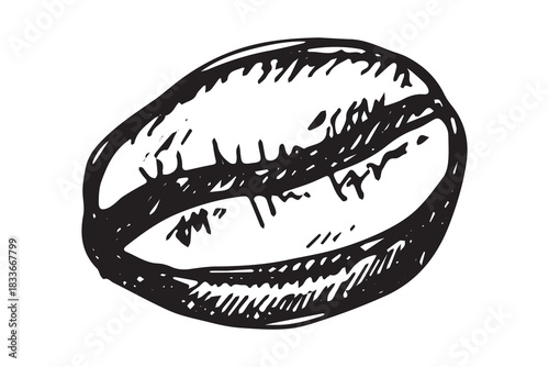 Hand drawn fresh roasted coffee bean Arabica robusta seed doodle Single element for print, web, design, decor