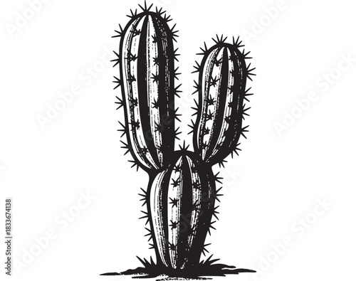 Striking hand-drawn cactus illustration perfect for branding, botanical designs, or adding a touch of desert charm to your projects with its unique vintage aesthetic and bold monochrome style