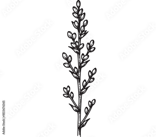 Delicate floral sprig with hand-drawn charm for invitations and designs, perfect for adding a touch of organic elegance to your creative projects with its timeless appeal