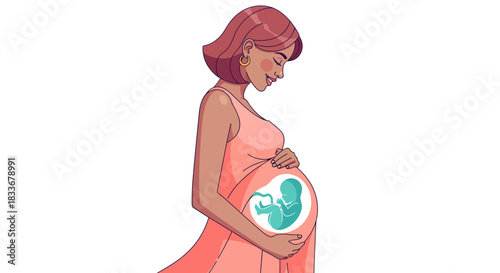 Illustration of a pregnant woman holding her belly with a fetus inside.