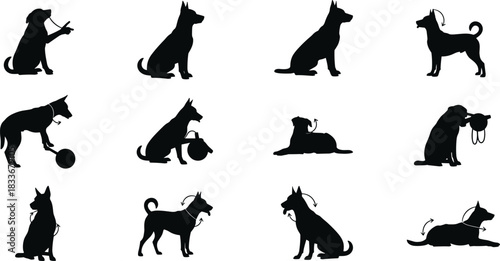 Dog behavior and activity silhouette illustration set, playful and relaxed poses, leash and ball interaction vector, black and white graphic