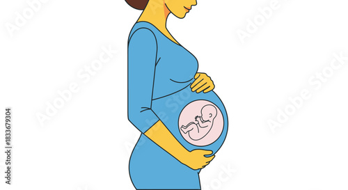 Illustration of a pregnant woman in profile, holding her belly with a visible fetus inside, representing pregnancy and motherhood.