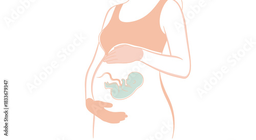 Illustration depicting a pregnant woman holding her belly, with a fetus visible inside.
