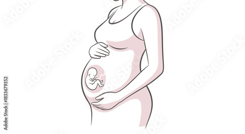 Detailed illustration of a pregnant woman gently holding her belly with a visible fetus inside.