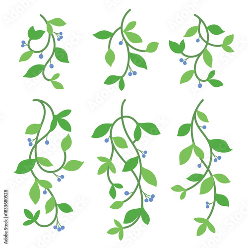 Curly Vines with Berries Vector Colloection Floral Vine Clipart Set