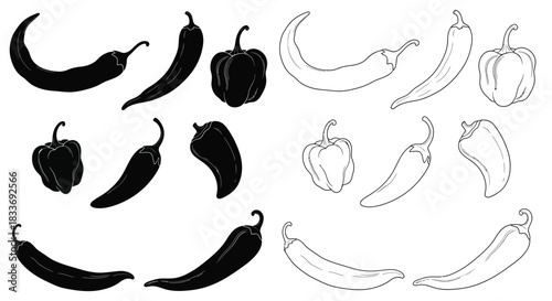 Variety of chili peppers in black and white line art illustrations