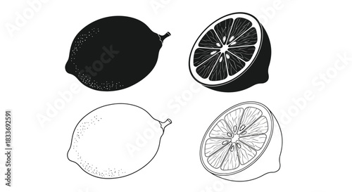 A visual representation of limes and lemons whole and in cross section