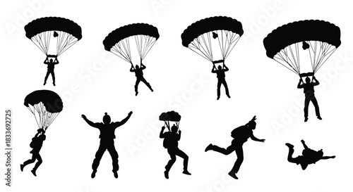Silhouettes of skydivers in freefall and under canopy dynamic action scene