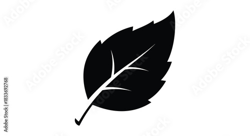 A simple black leaf shape against a white background a striking botanical silhouette