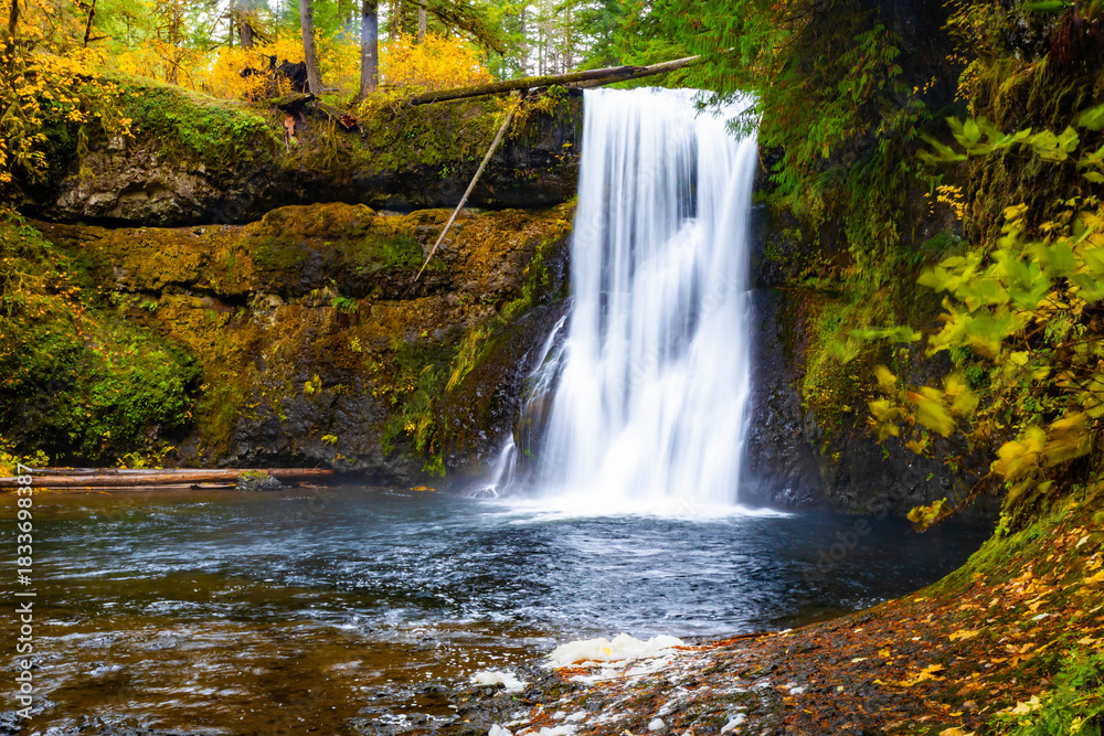 Fototapeta premium Upper North Falls and Plunge Pool in Fall at Silver Falls State Park
