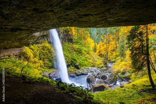 Schilderij op canvas Magnificent North Falls and Walk-Behind Feature in Fall at Silver Falls State Pa