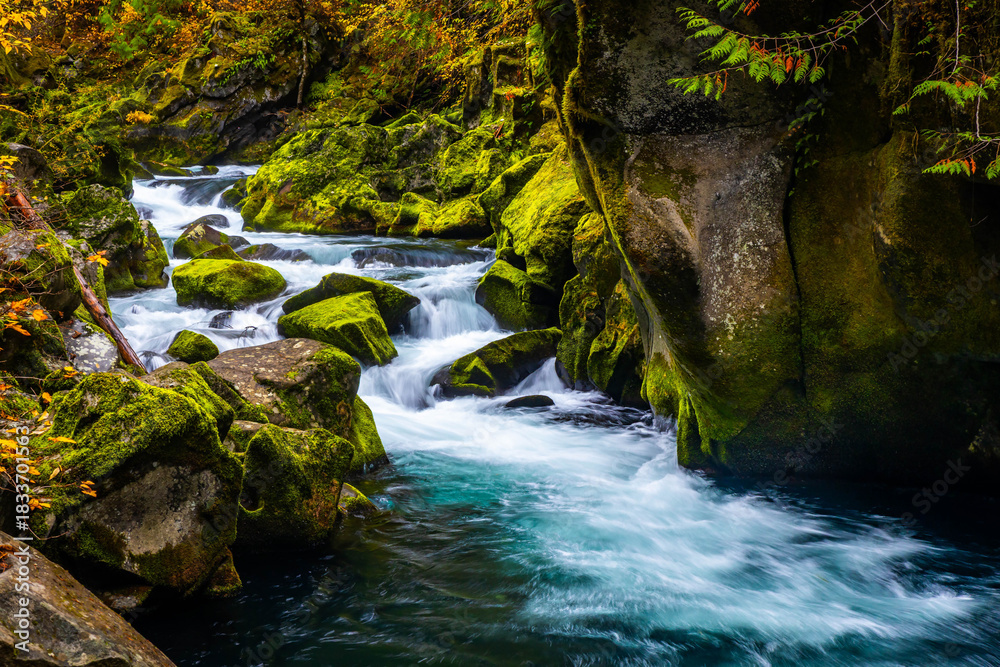 Fototapeta premium Scenic view of North Umpqua river running through Umpqua National Forest at fall