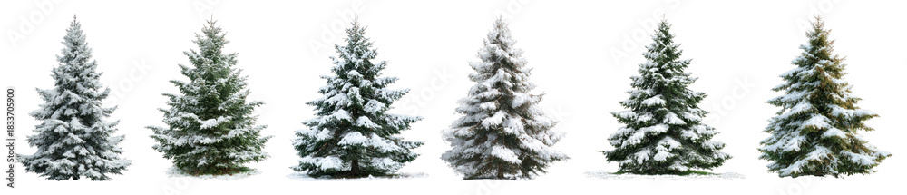 Fototapeta premium PNG Snow-covered evergreen trees aligned, element set on transparent background