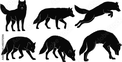 Black Silhouette Set of Wild Wolves in Various Poses Including Standing, Walking, Leaping, and Sniffing, Representing Canine Predation, Wildlife, and Nature Graphics