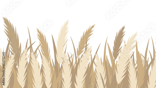 Seamless horizontal border of minimalist pampas grass in neutral beige and brown tones, creating a natural and bohemian decoration.