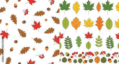 Mega Bundle of Flat Style Vector Autumn Leaves Including Maple, Oak, and Rowan, Plus a Seamless Pattern Featuring Acorns and Berries, All in Warm Seasonal Colors and Simple Outlines