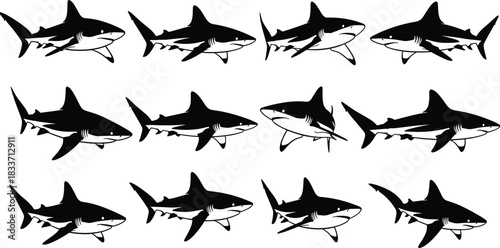 Here is a title and a comprehensive list of keywords, optimized for Adobe Stock and SEO, based on the image you provided.