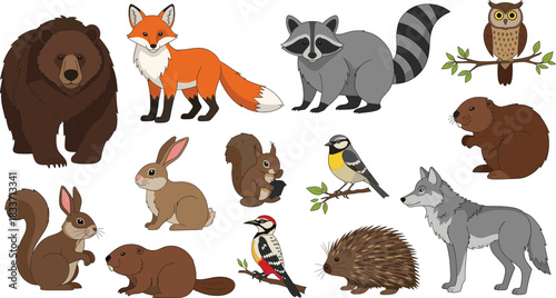 Extensive Vector Collection of Realistic Woodland and Forest Animals, Including a Brown Bear, Fox, Raccoon, Owl, Beaver, Rabbit, Squirrel, Wolf, Hedgehog, and Various Birds on Branches