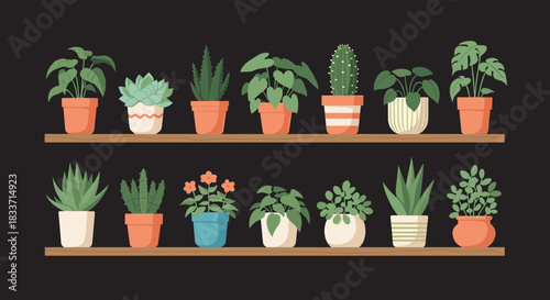 A stylish display of various potted houseplants, including lush green foliage, spiky succulents, and cacti, on rustic wooden shelves.