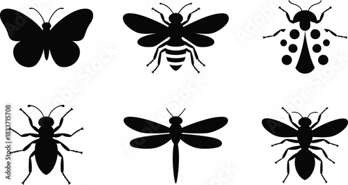 Collection of various insect species like butterfly, bee, ladybug, ant, and dragonfly
