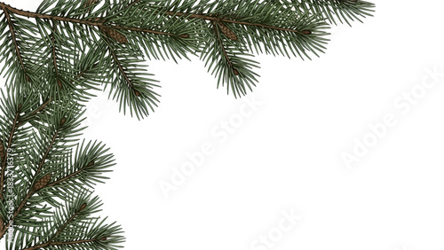 A close-up view of a green pine tree branch with brown pine cones, positioned in the upper left corner against a plain white background.