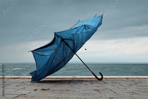 broken umbrella hook