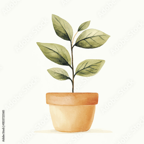 Small green plant in a terracotta pot watercolor illustration.