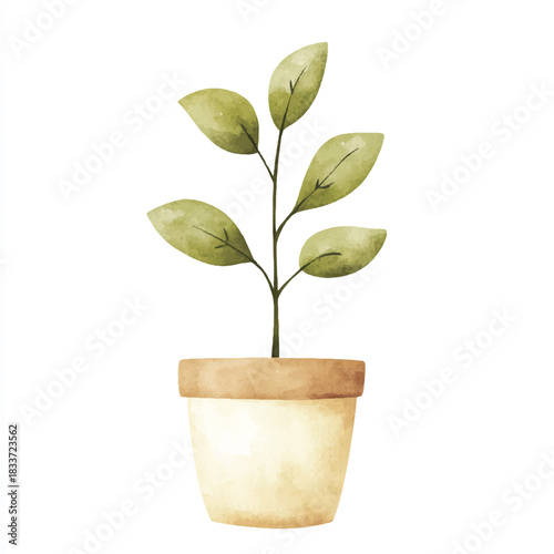 Small potted plant with green leaves.