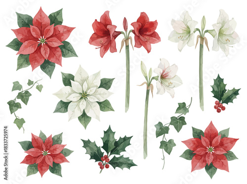 Watercolor Christmas Flora Collection Hand-Painted Poinsettias, Amaryllis, Holly, and Ivy for Festive Holiday Decor and Seasonal Designs