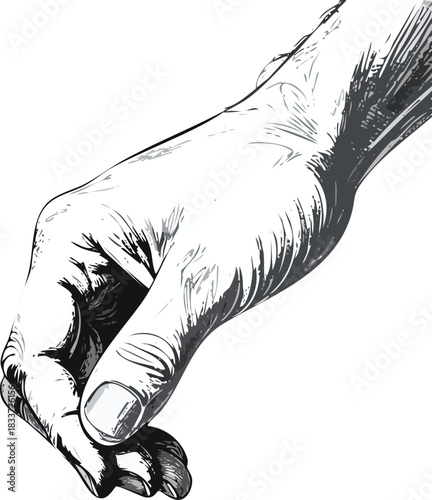 Ink sketch of a hand