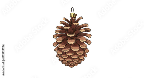 A detailed illustration of a single brown pine cone hanging from a string, isolated on a white background.