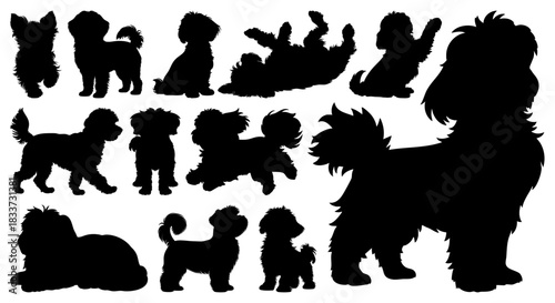 Maltese Dog Silhouettes Vector Collection of Cute Fluffy Puppy Black Shapes in Different Poses, Transparent Background