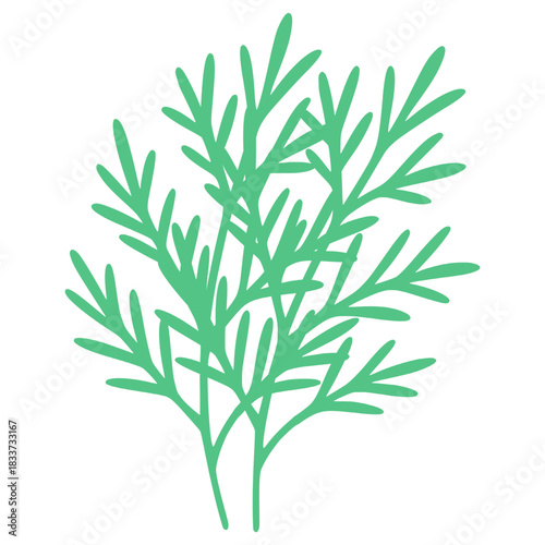 Dill nature plant vitamin C organic flat color vector illustration template design