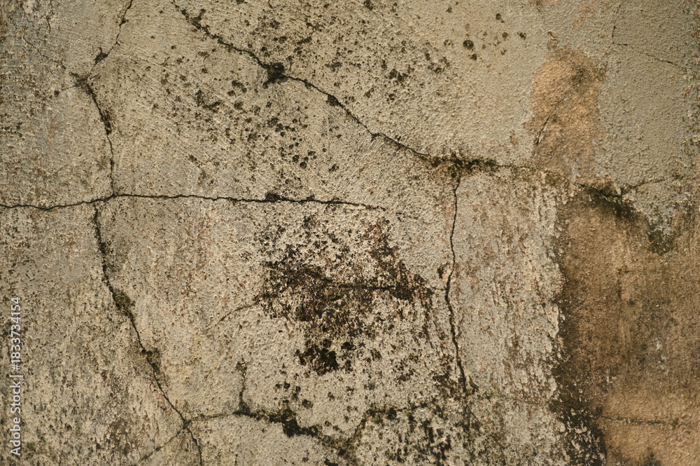 Fototapeta premium Weathered Wall Surface With Crack