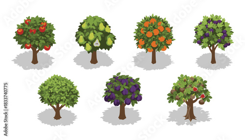 Isometric Fruit Trees Vector Collection — Apple, Pear, Orange, Plum, Fig for Garden, Orchard, and Infographic Design