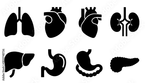 Silhouette Icons of Human Internal Organs in Black Vector Style