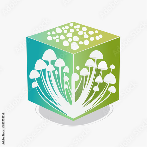 Conceptual Mycology Vector Art on a Cube