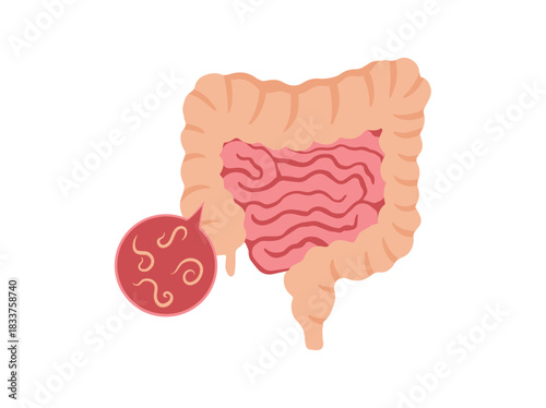 Human Intestinal Worms Parasite