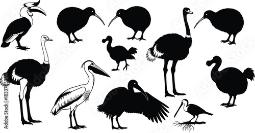 Exotic Bird Silhouettes Set Featuring Ostrich, Kiwi, Dodo, Hornbill, and Pelican Vector Illustration