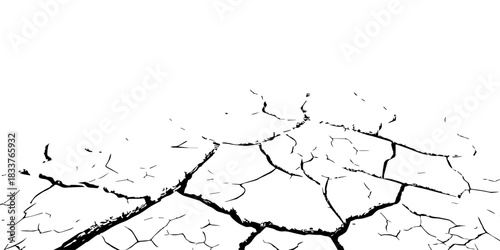 High-contrast cracked earth texture in black and white. Detailed dry soil pattern showing deep fractures and arid surface. Perfect for backgrounds, drought concepts, textures, and environmental design
