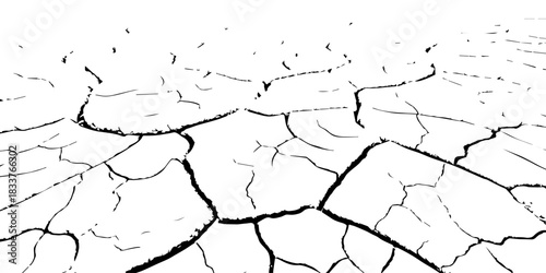 High-contrast cracked earth texture in black and white. Detailed dry soil pattern showing deep fractures and arid surface. Perfect for backgrounds, drought concepts, textures, and environmental design
