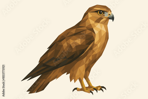Geometric polygonal hawk in low poly art style
