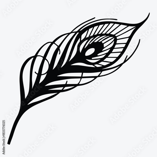 Peacock firebird feather vector illustration